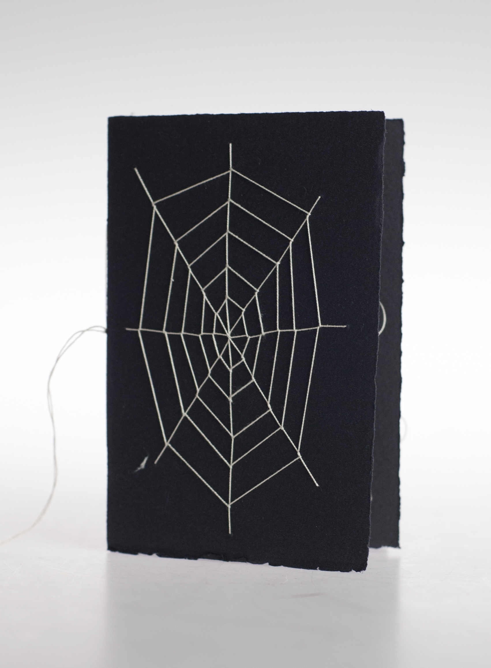 spiderbook.jpg